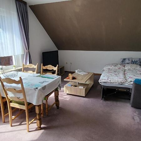 Haus Rehblick 2, Wg 4 Apartment Sankt Andreasberg Ngoại thất bức ảnh